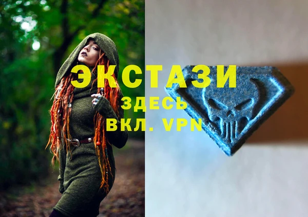 СК Горнозаводск
